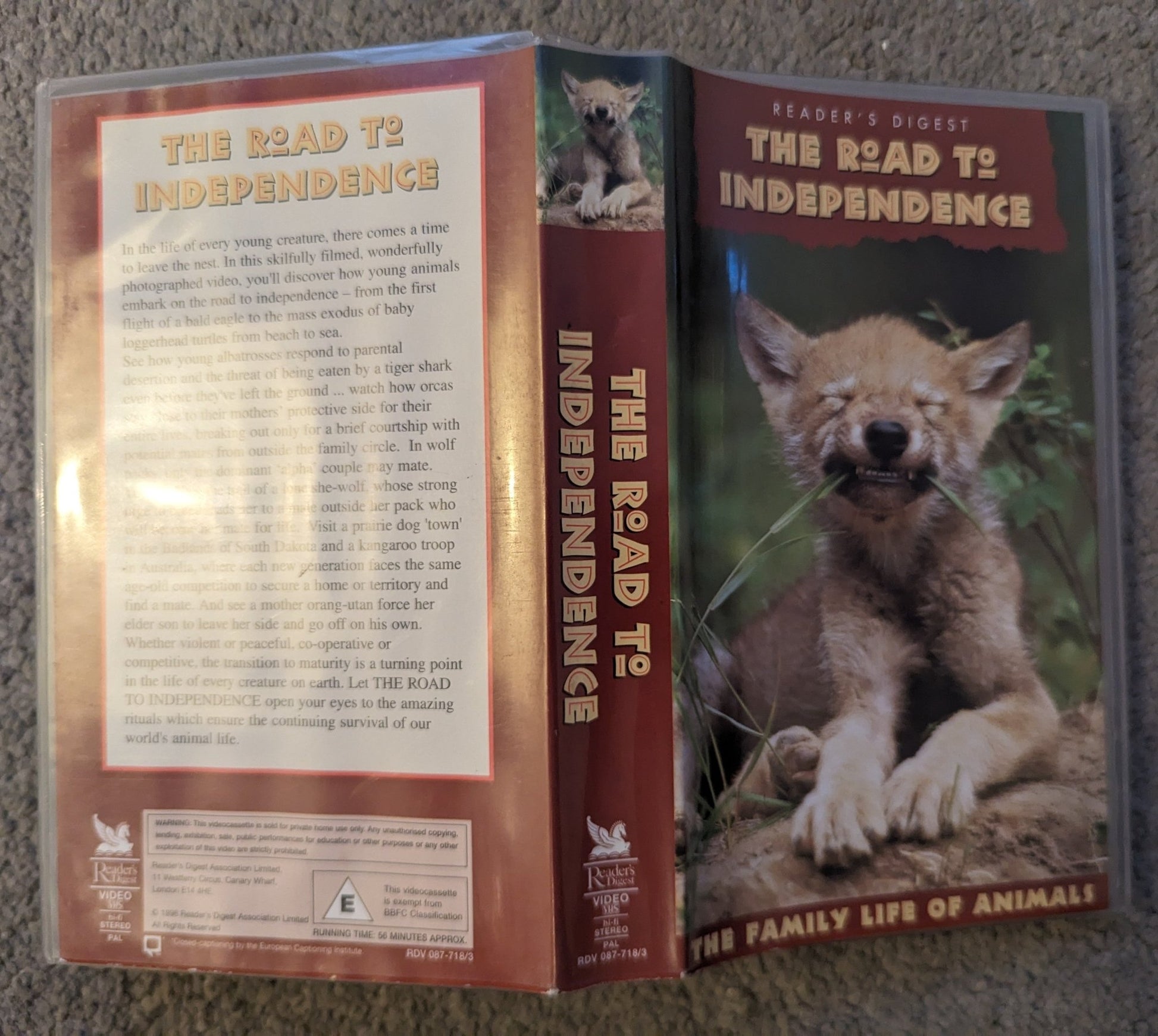 Road To Independence (1998) VHS Video - Flippin Retro Video Shop