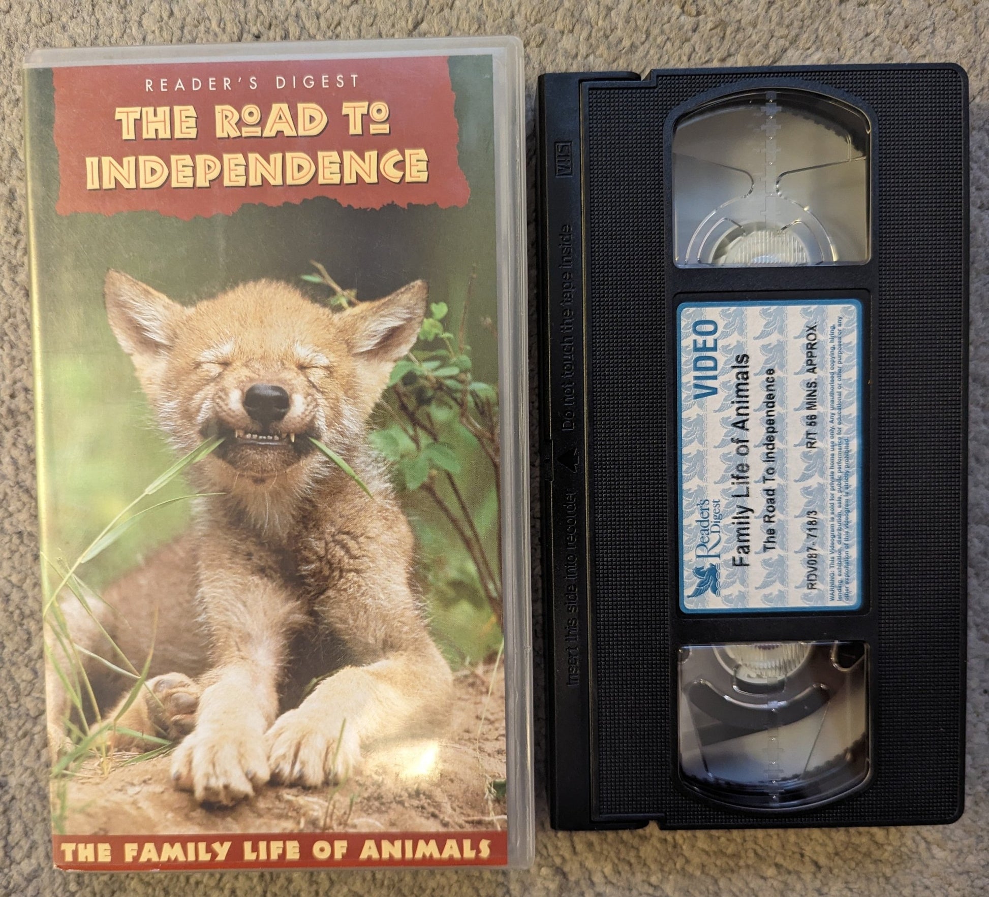 Road To Independence (1998) VHS Video - Flippin Retro Video Shop